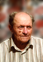 Bild von Johann Kreidl